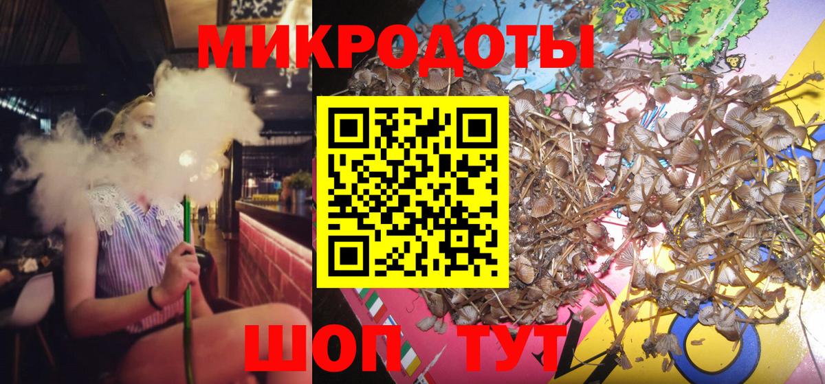 Псилоцибиновые грибы GOLDEN TEACHER  Алексин  Псилоцибиновые грибы Psilocybine cubensis 