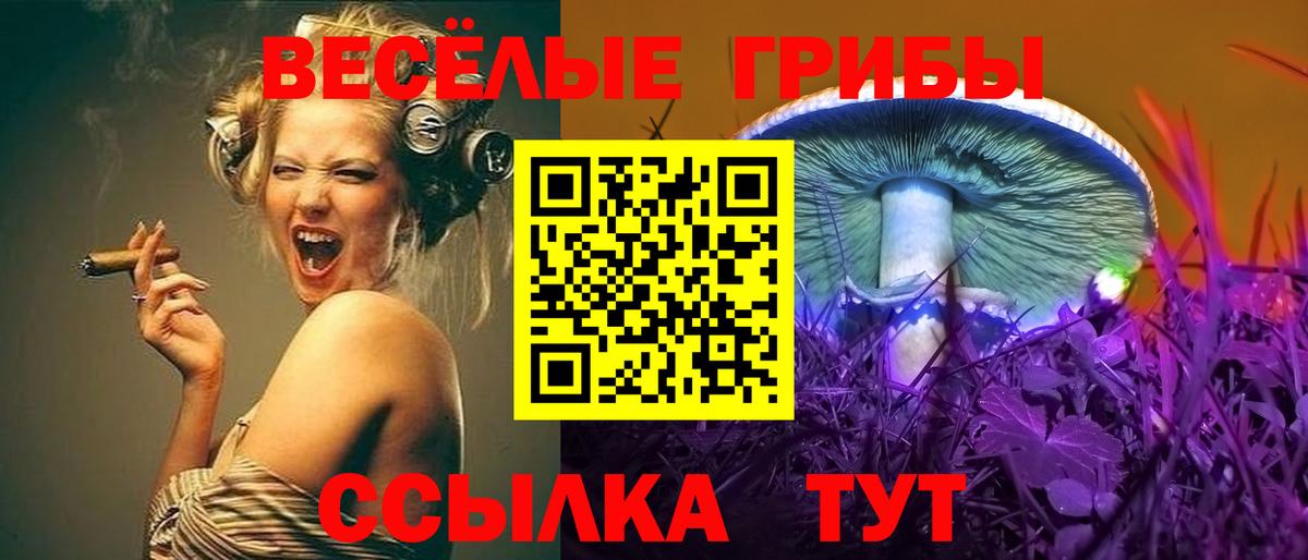 COCAIN  ГАШИШ  Экстази  МАРИХУАНА  Вход с VPN  Алексин  Меф МЯУ МЯУ кристаллы  Гашиш 