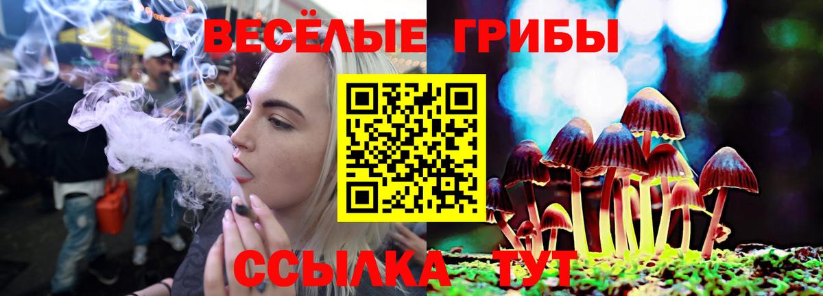 Псилоцибиновые грибы ЛСД  Вход с VPN  Алексин 